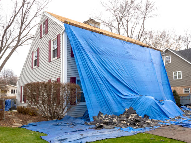 Best Stucco Siding  in Fairbank, IA